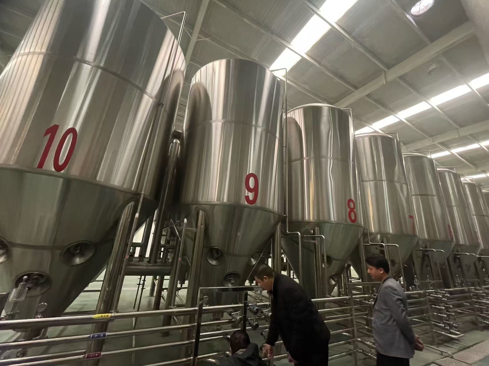 九龙坡精酿啤酒设备厂—平面布置、设备设计、制造、调试、培训等一条龙服务